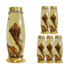 YnG 罐式浸酒瓶說明書18號, 6入, 3.5L