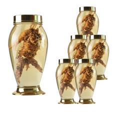 YnG 罐式泡酒瓶說明書No.91, 6入, 4L