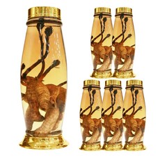 Yongcheon Natural Glass 甕型釀酒瓶 手動 17號, 4.5L, 6個