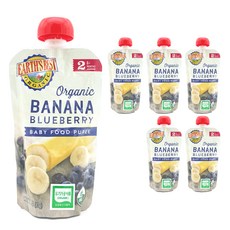 얼스베스트 유기농 2단계 이유식 파우치 113g, 바나나 + 블루베리 혼합맛, 6개