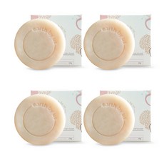 Earthbys kitchen soap 橘子香, 100克, 4個
