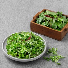 친환경 인증 반반샐러드, 350g, 1팩
