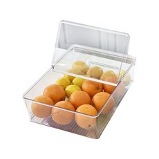 Homevanesse 透明 PET 冰箱儲物收納盒帶蓋托盤, 混色