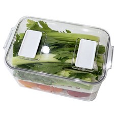 Homevanesse 透明PET冰箱瀝水收納盒, 1個, 1個