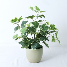 人造常春藤盆栽 + 刻字緞帶 隨機出貨, 綠色, 1套