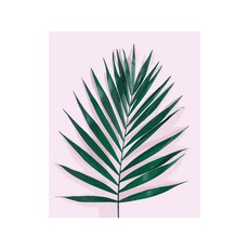 北歐風簡約植物繪畫DIY, 葉子 A42