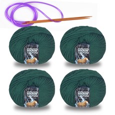 New Annie羊毛編織線 50g x 4入 + 環形針, 1套, 卡保利綠(6012)