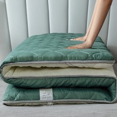 라미스 토퍼 매트리스 C105, 그린, 5cm