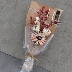 Blüehen 擴香蘆葦棒, 杏, 1套