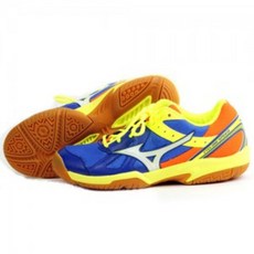 Mizuno 美津濃 乒乓球鞋 V1GA178076