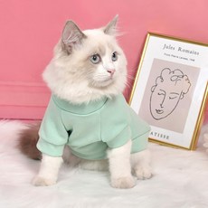 PASTEL PET 寵物素色衛衣, 綠色