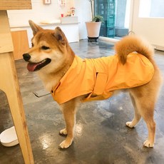 真寵寵物簡約雨衣風衣外套, 黃色