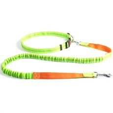 PASTEL PET 免持腰帶寵物牽繩組, F款, 1個