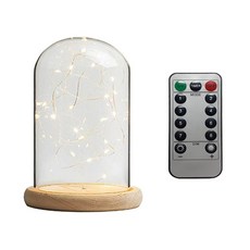 SCHWARZ KOREA 玻璃燈罩式LED氣氛燈 15*25cm+遙控器, 單色