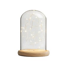 SCHWARZ KOREA 玻璃燈罩式LED氣氛燈 15*25cm, 單色
