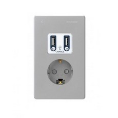 JINHEUNG 雙孔USB插座頭+圓形插座蓋 銀色, 1個