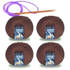 Miso毛線 New Annie 羊毛毛線 50g x 4入 + 環形針組, 1套, 6021棕色