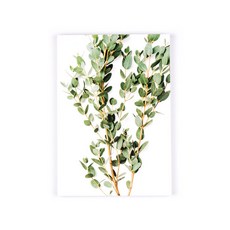 ONFRAME 分行規劃師, 桉樹