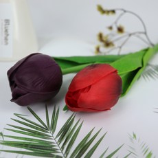 Blüehen 鬱金香擴香棒 2入, 紅色、紫色