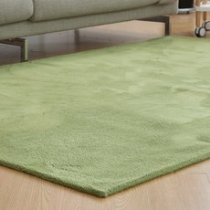 LEENDECO Simple ittem時尚素色超細纖維短毛地毯