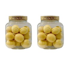 方形密封玻璃瓶 131號, 2個, 12L