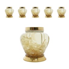 대경페트 수동 매실병, 6개