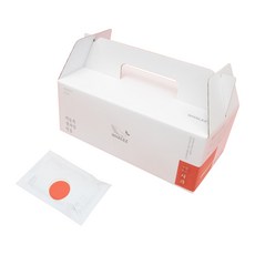 웨일즈 구원주스 사과즙 저온착즙 과채주스, 100ml, 1개