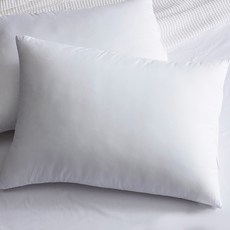 BONNIE LOUISE 枕頭 2入, 白色的