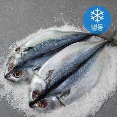 바다찬찬 더 건조한 부산 고갈비 (냉동), 650g, 1개