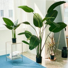 조화 극락조 나무화분 120cm, 혼합색상, 1개