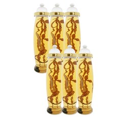 대경페트 인공N 항아리형 과실주병 10호, 6개