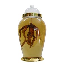 대경페트 인공N 항아리형 과실주병 3호, 25L, 1개