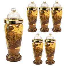 대경페트 인공N 항아리형 과실주병 13호, 6L, 6개