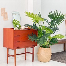 조화 셀륨나무 화분 110cm, 혼합색상, 1개