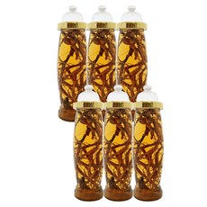 대경페트 인공N 항아리형 과실주병 11호, 7L, 6개