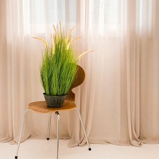 조화 셀로아나 갈대 화분 78cm, 그린, 1개