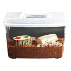 벅스앤미 곤충기르기용 실속형세트 대, 혼합색상, 1세트