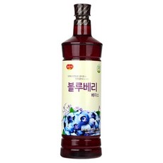광야식품 블루베리 베이스, 1.05L, 1개