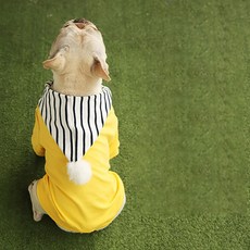 콩 K PET 방울방울 반려동물 스트라이프 후드, 옐로우 기모, 1개