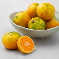 무농약 인증 제주 하우스 감귤, 1.5kg, 1팩