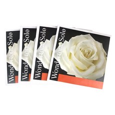 PIRASTRO 弦樂 Wonder Tone 小提琴弦組, 單品, 混色