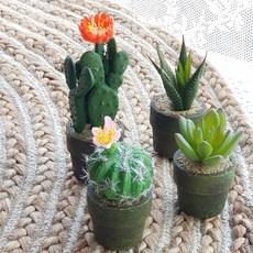 東方情調仿真迷你仙人掌花盆 4種組, 混色, 1套