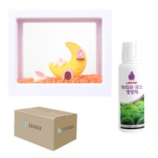 SUAQUA Marimo Moon 兔白塊魚缸套組+Recom Marimo Nutrient 120ml, 混色