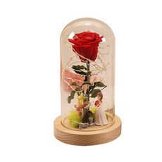玫瑰永生花玻璃燈罩 L (USB/電池兩用), 紅色(新郎新娘隨機出貨), 1個