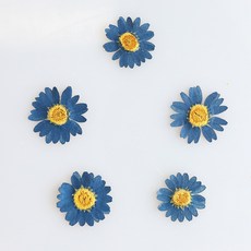 체크스토리 압화꽃송이 마가렛 A, 블루