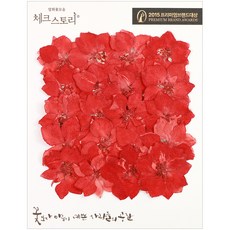 checkstory 壓花Lakspu, 紅色的