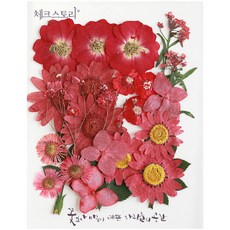 CHECK STORY 壓花工藝 A款, 06 紅莓