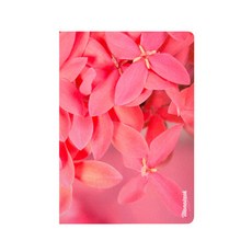 Monotask 學期計劃者, 仙人掌