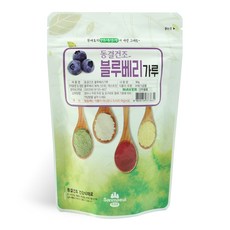 산마을 동결건조 블루베리가루, 90g, 1개