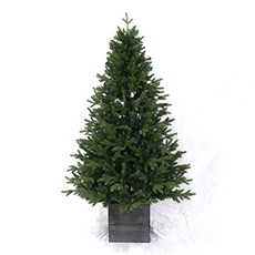 프리미엄 전나무 무장식트리, 그린